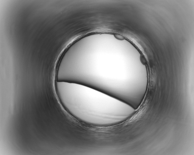 X0000093751245200710160804