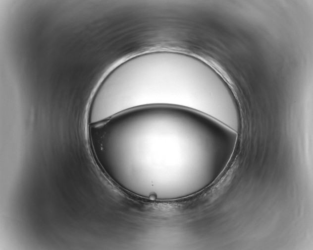 X0000093751246200710160804