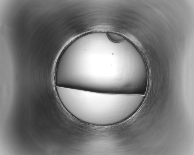 X0000093751248200710160804