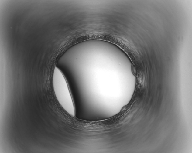 X0000093751252200710160803