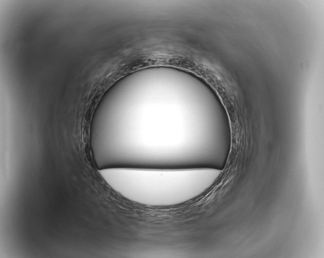 X0000093751253200710160803