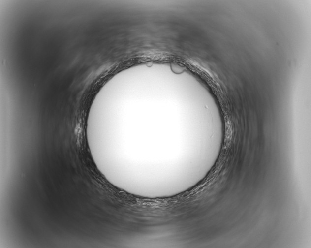 X0000093751254200710160803