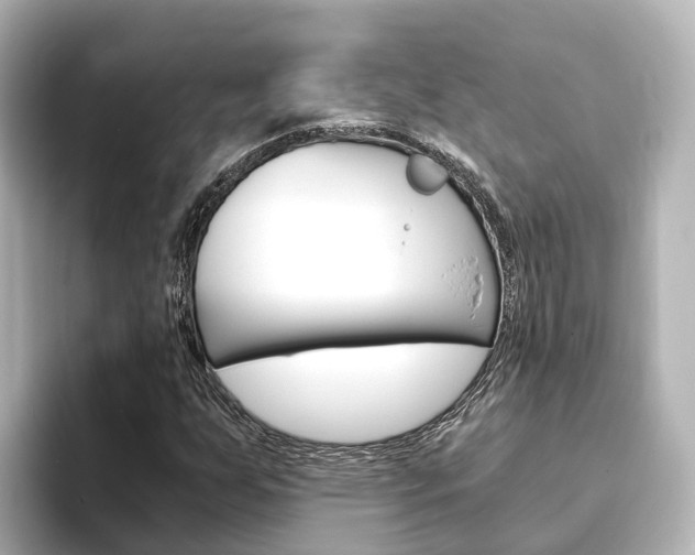 X0000093751255200710160803