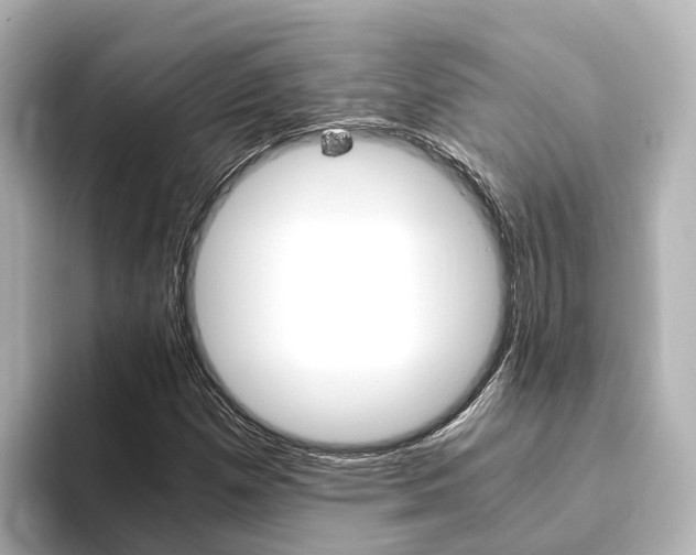 X0000093751257200710160803