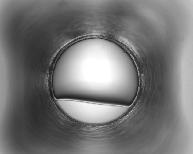 X0000093751260200710160803