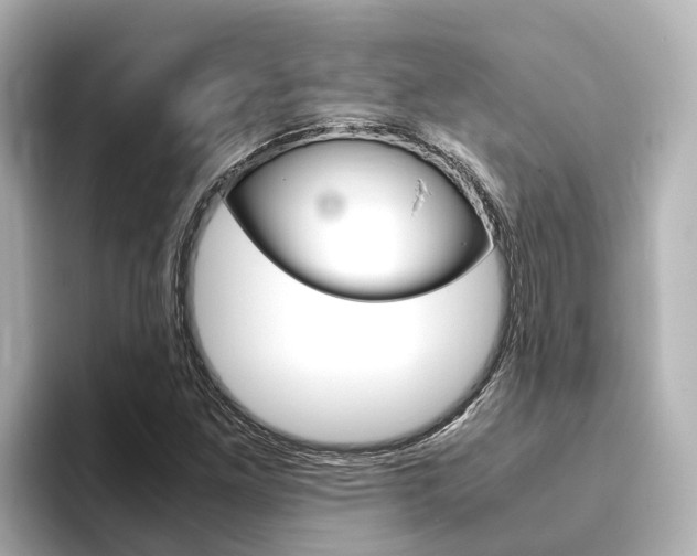 X0000093751261200710160803