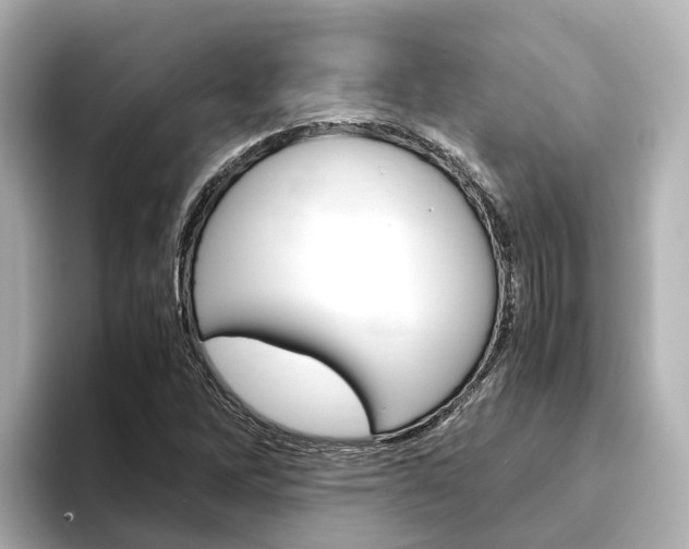 X0000093751262200710160803