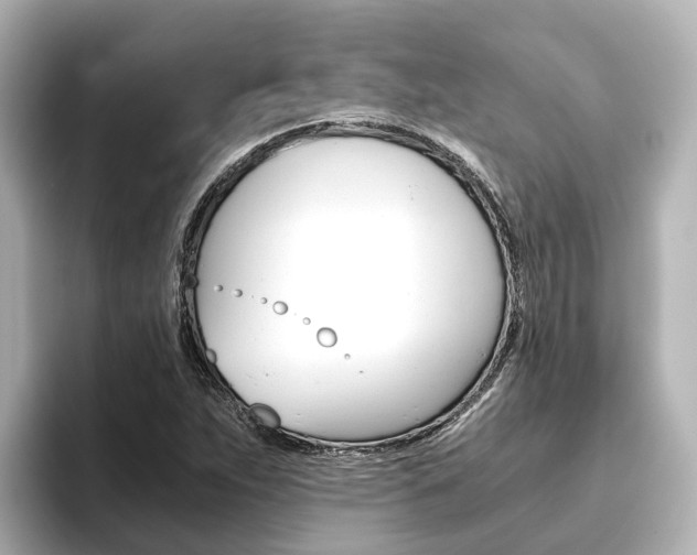 X0000093751263200710160803
