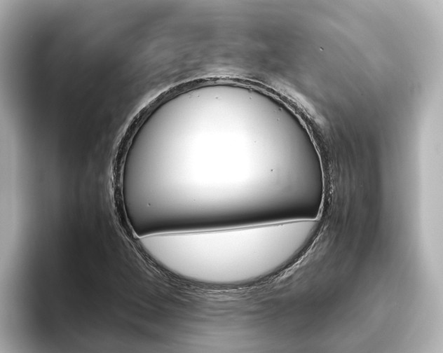 X0000093751264200710160803