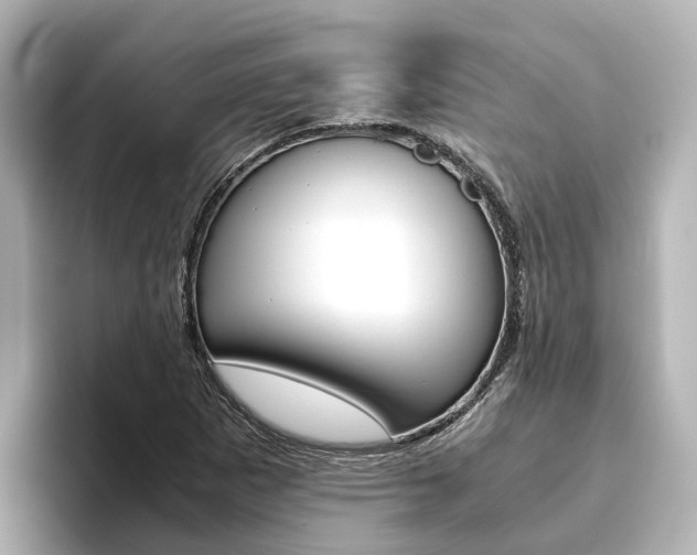 X0000093751265200710160803