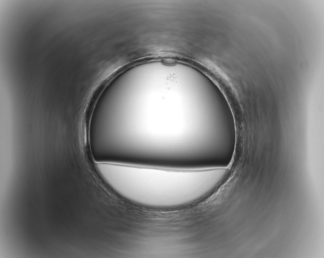 X0000093751269200710160803
