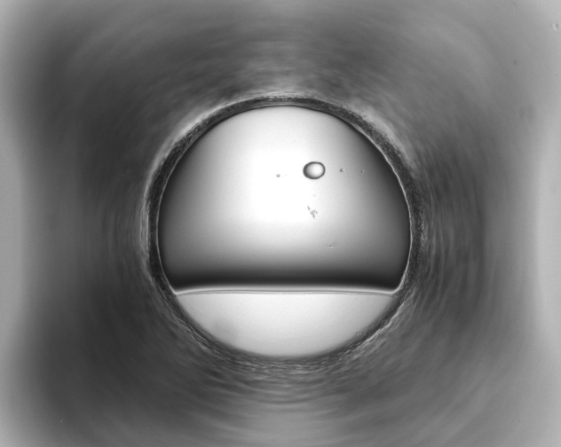 X0000093751270200710160803