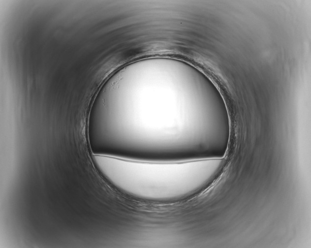 X0000093751273200710160803