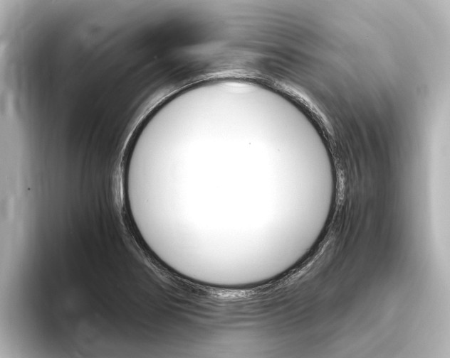 X0000093751274200710160803