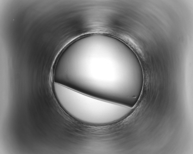 X0000093751276200710160803