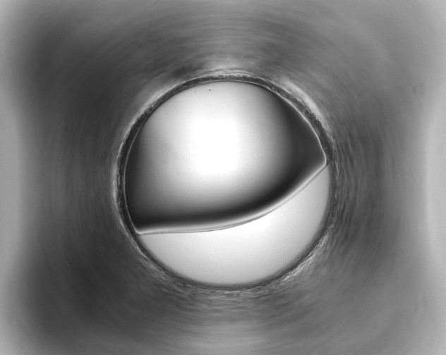 X0000093751277200710160803