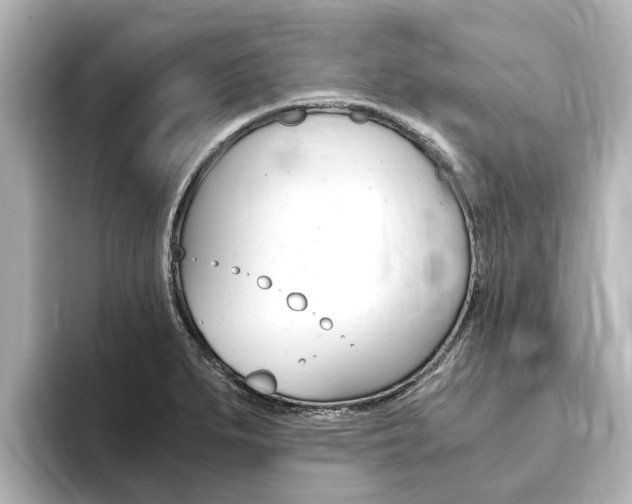 X0000093751279200710160803