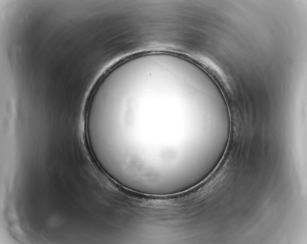 X0000093751280200710160803