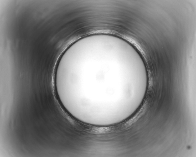 X0000093751282200710160803