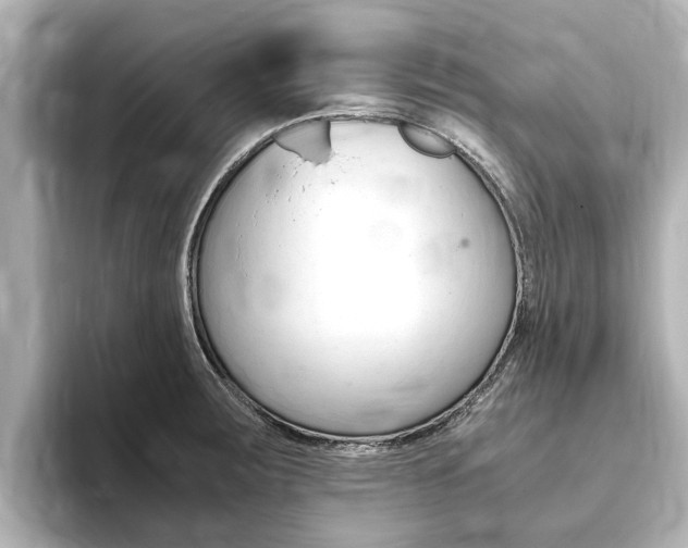 X0000093751283200710160803