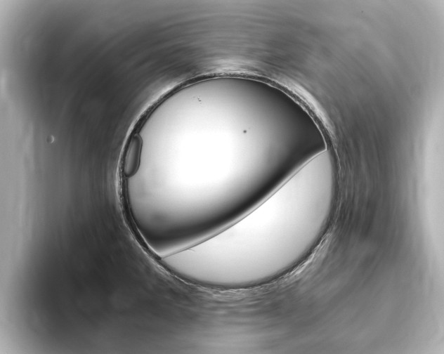 X0000093751285200710160803