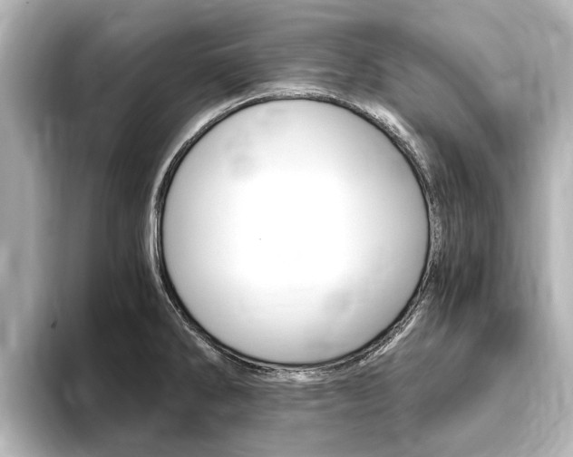 X0000093751286200710160803