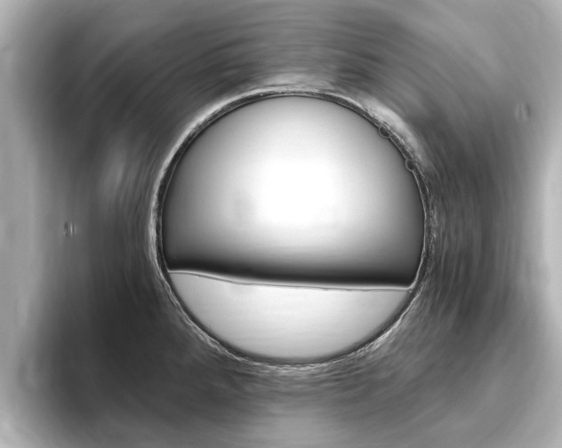 X0000093751288200710160803