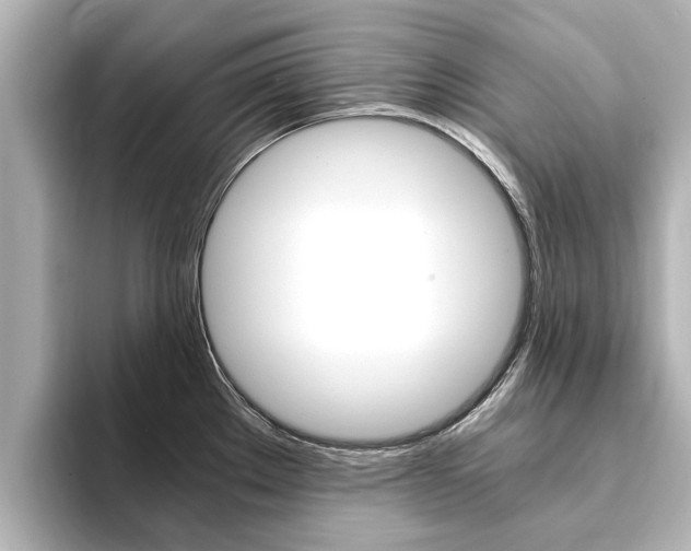 X0000093751289200710160803