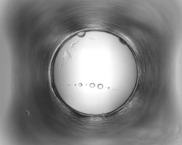 X0000093751291200710160803