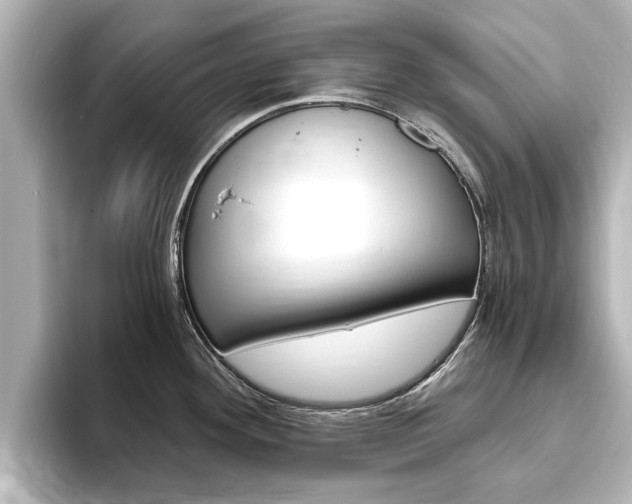 X0000093751292200710160802