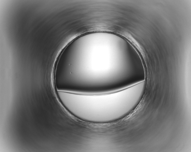 X0000093751293200710160802