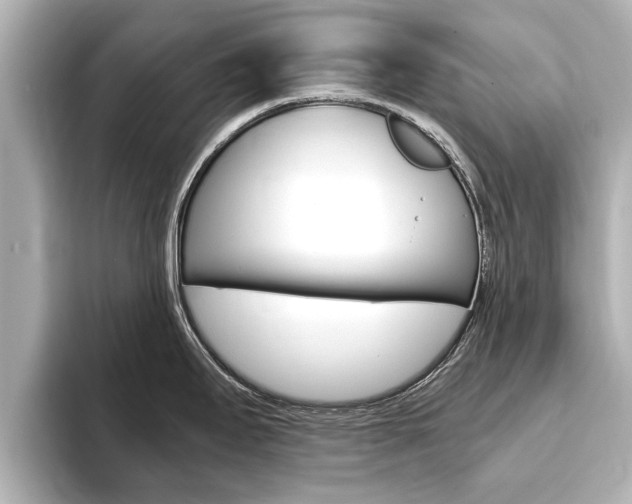 X0000093751295200710160802