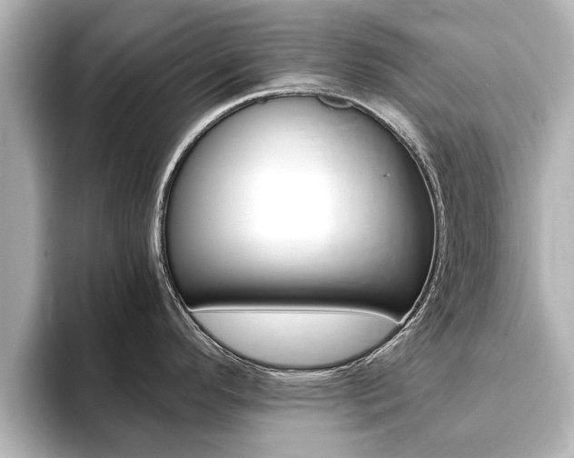 X0000093751296200710160802