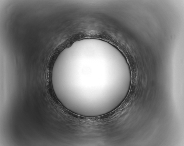 X0000093751301200710160802