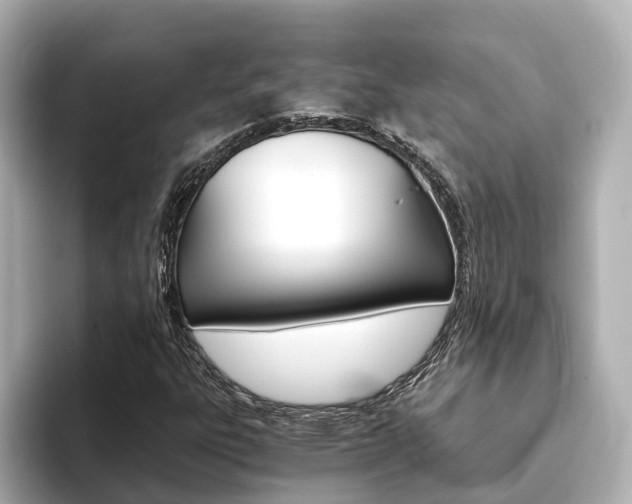 X0000093751303200710160802