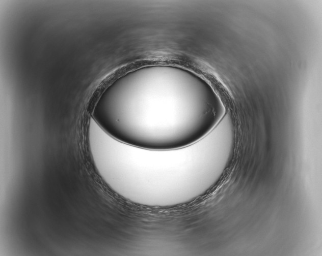 X0000093751304200710160802