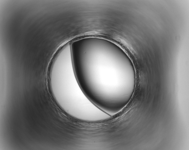 X0000093751308200710160802