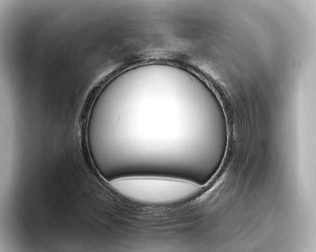X0000093751309200710160802