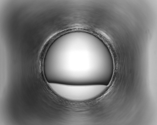 X0000093751310200710160802