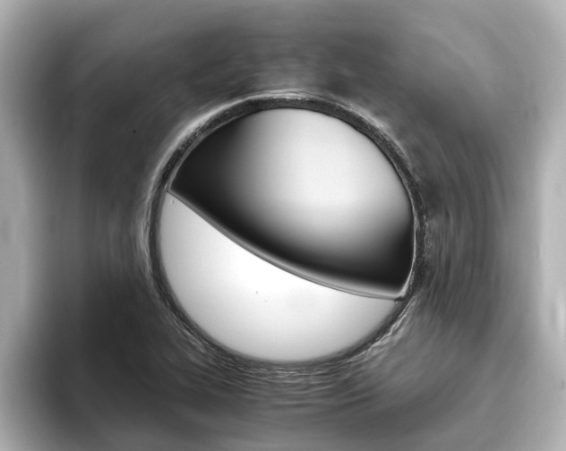 X0000093751319200710160802