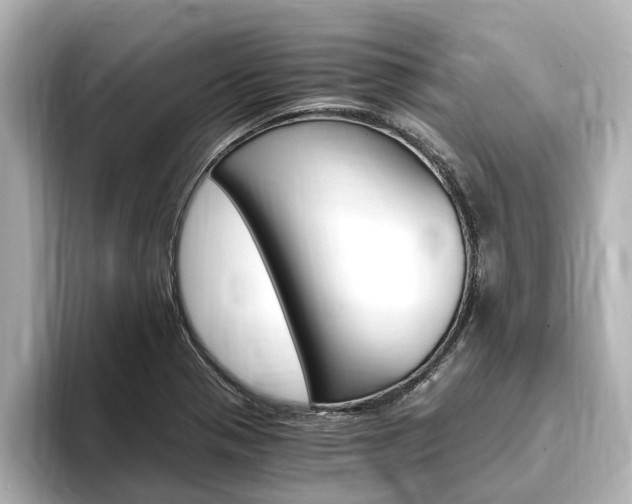 X0000093751321200710160802