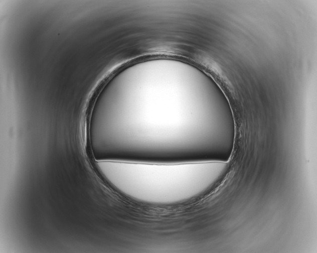 X0000093751323200710160802