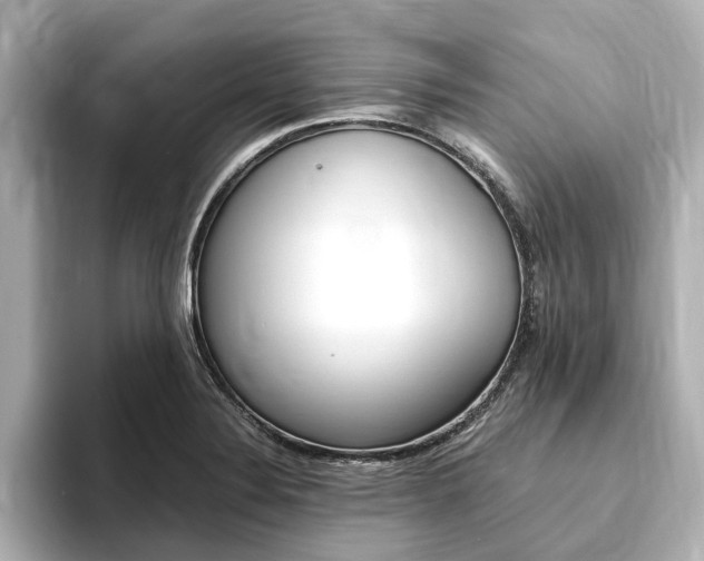 X0000093751324200710160802