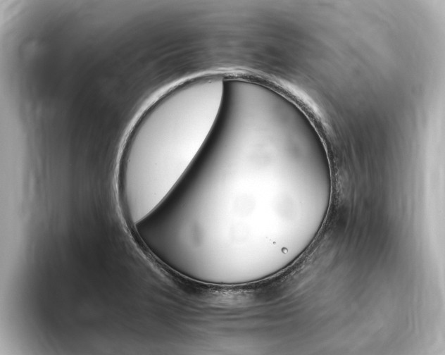 X0000093751327200710160802