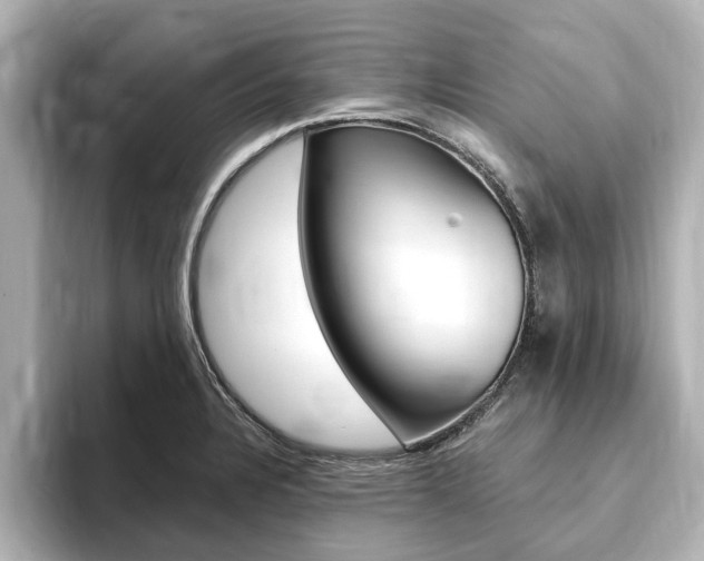 X0000093751328200710160802
