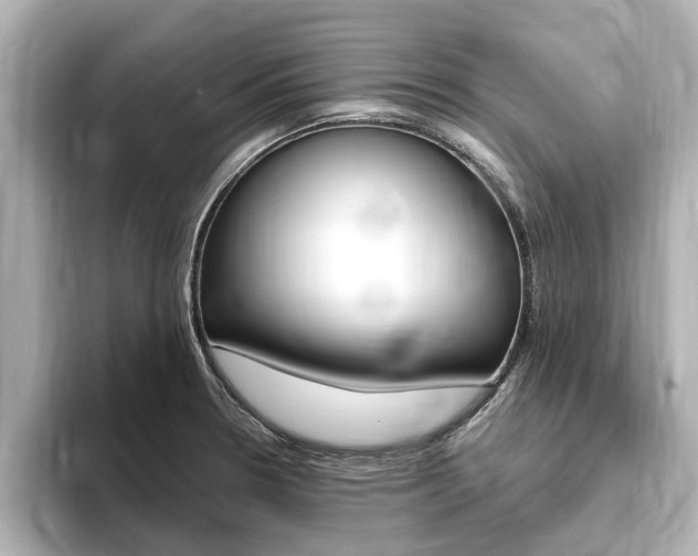 X0000093751330200710160802