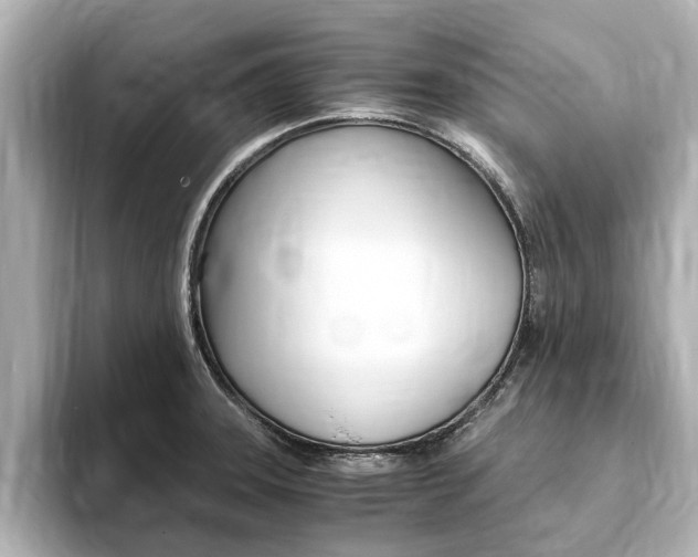 X0000093751331200710160802