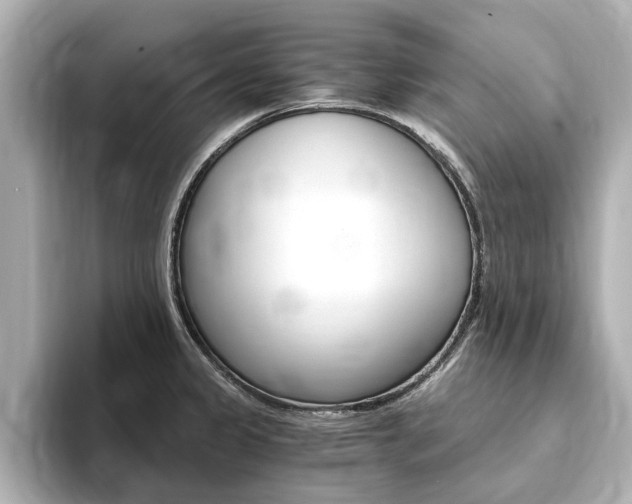 X0000093751333200710160802