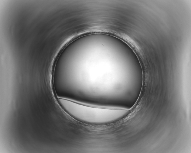 X0000093751334200710160802
