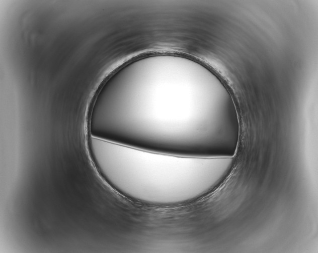 X0000093751335200710160802